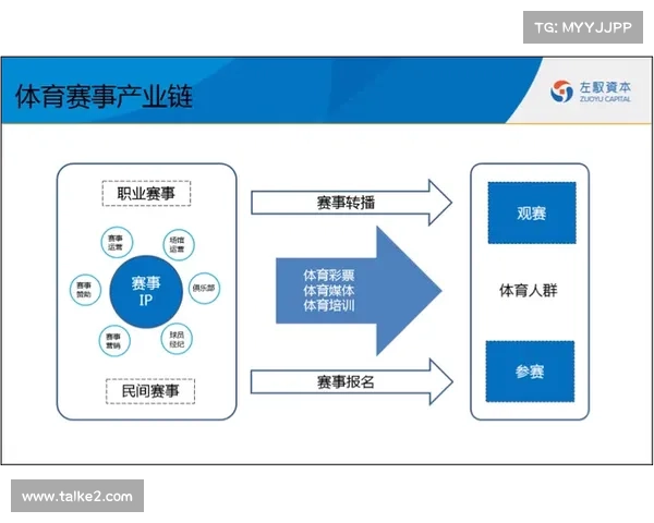 体育赛事申诉,探讨体育赛事申诉在维护竞赛公平和保障运动员权利中的核心作用 体育赛事申诉,探讨体育赛事申诉在维护竞赛公平和保障运动员权利中的核心作用